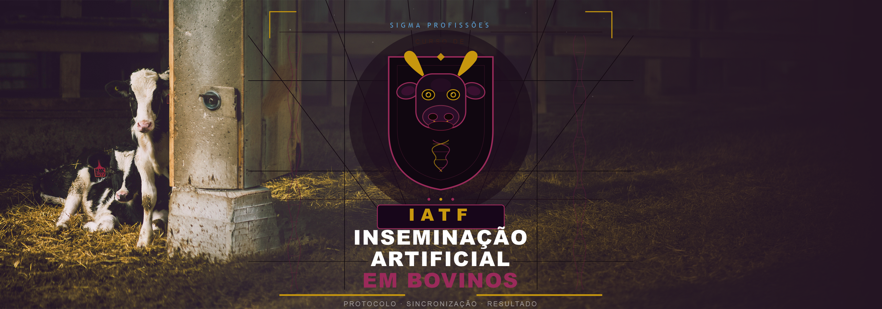 Formação profissional em Inseminação Artificial em Bovinos - IATF